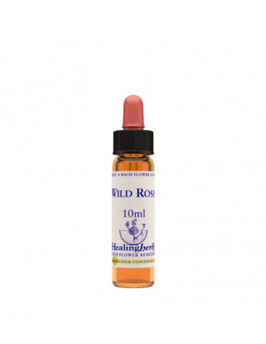 WILD ROSE ESS 10ML INGL HERBS — confronto prezzi