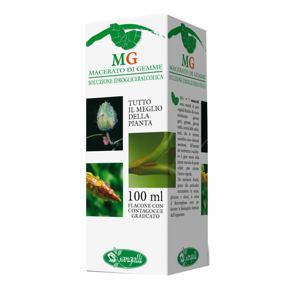 Sangalli Betula pubescens 100ml - Macerato glicerinato per i disturbi endocrini, Flacone da 100 ml