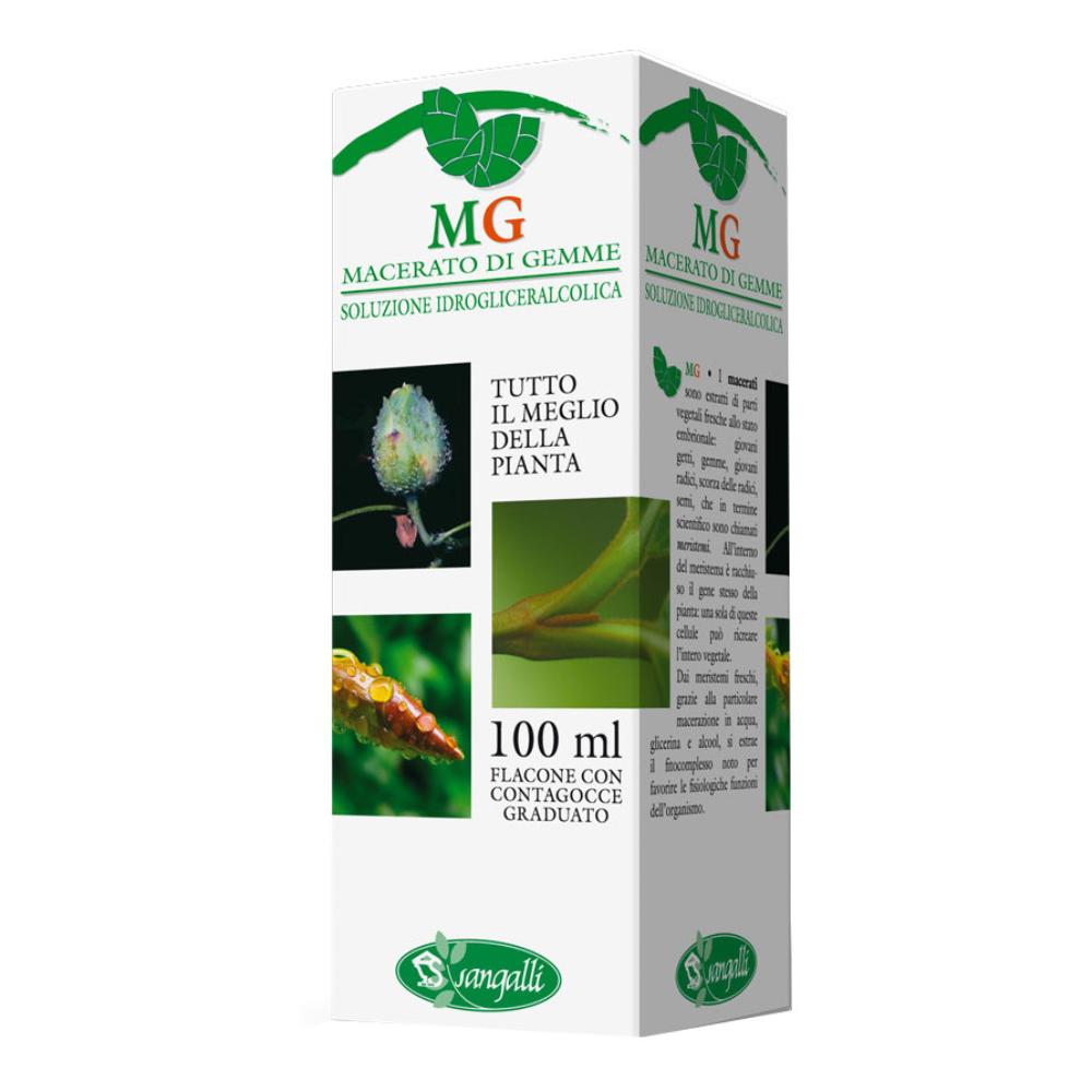Ginepro macerato glicerico 100 ml — confronto prezzi