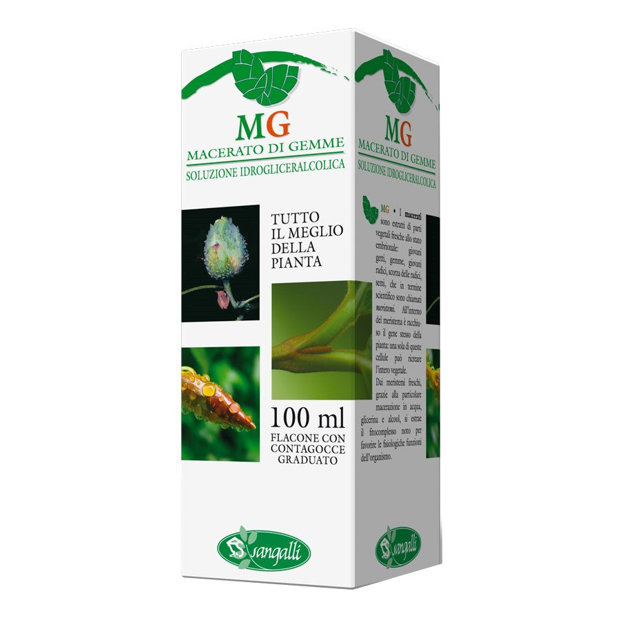 Ippocastano Macerato Glicerico 100 Ml ml Soluzione orale — confronto prezzi