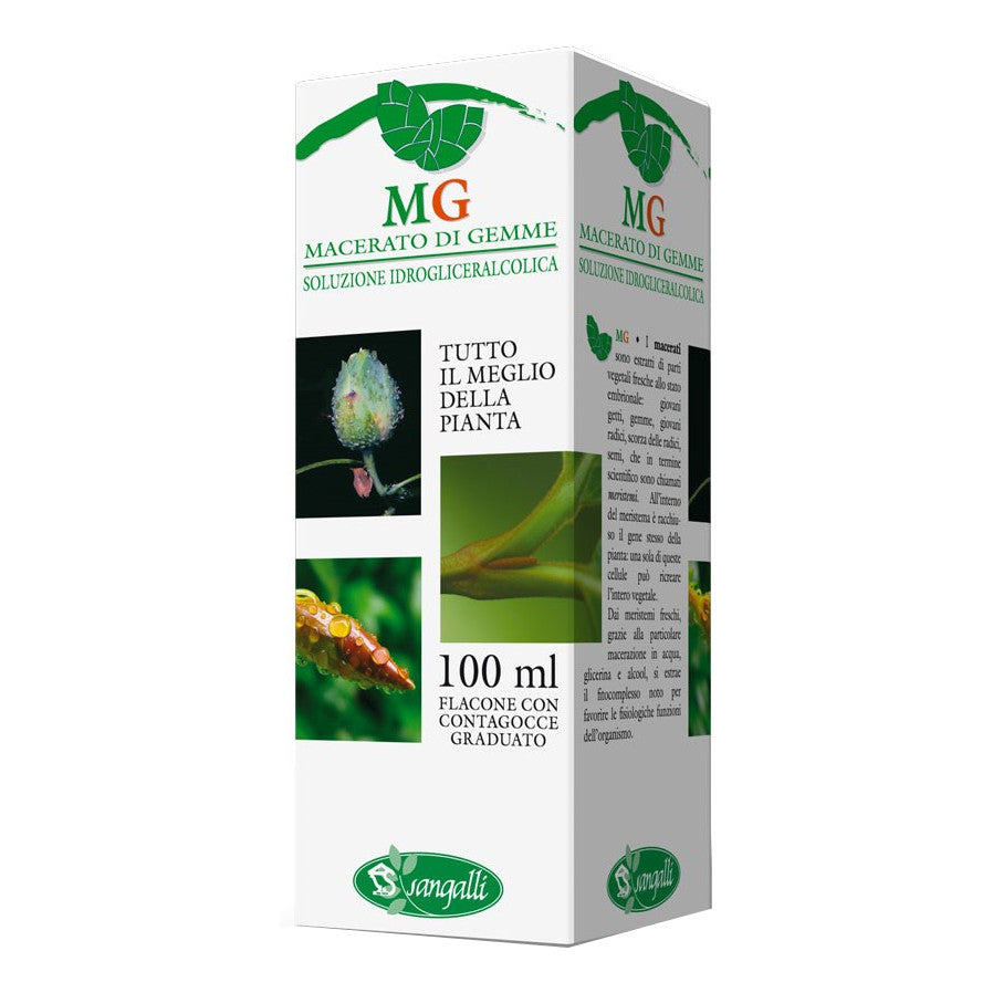 Sangalli Quercia Penducolata Macerato Glicerico Gocce 100 ml orali