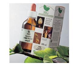 Tiglio Argent Macerato Glicerico 100 Ml ml Gocce orali — confronto prezzi