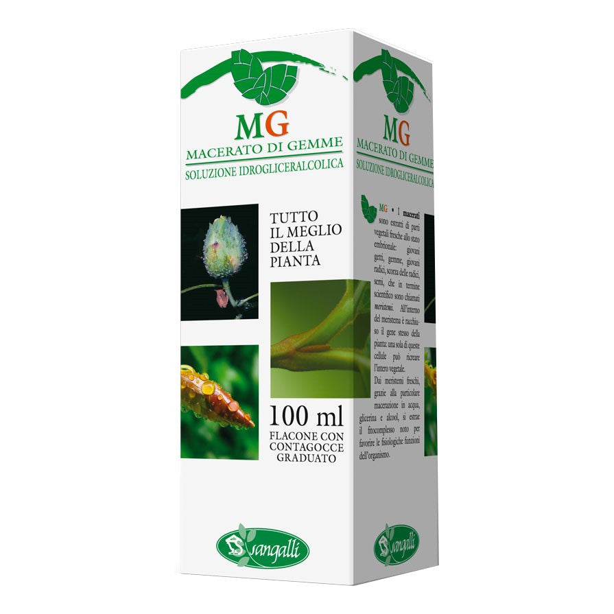 Sangalli Vite 100ml Mg — confronto prezzi