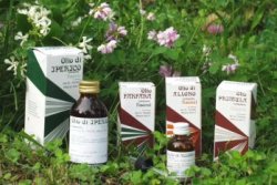 OLIO DI GAROFANO 25ML — confronto prezzi