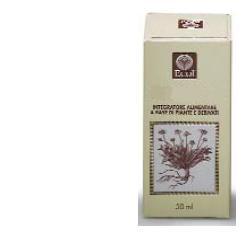 Fico gemme estratto analcolico 50 ml