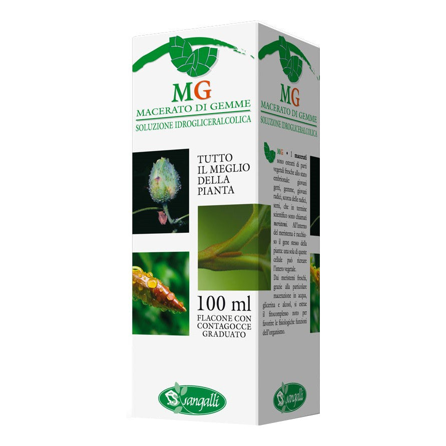 Sangalli Sequoia - Gocce di macerato glicerico sequoia per un'azione tonica e ricostituente, 100 ml