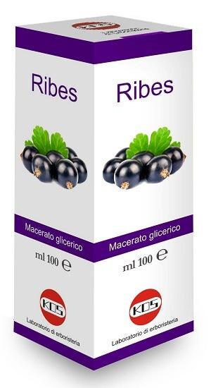 Kos Ribes Nigrum Macerato Glicerico Gocce 100 ml
