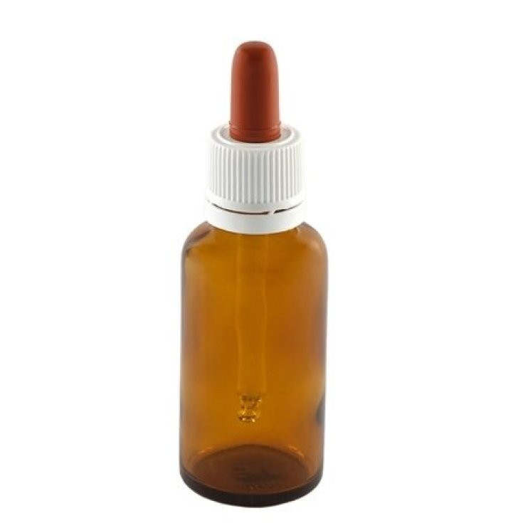 Farmalabor Flacone Vetro 100ml con Tappo a Sigillo 10 Pezzi