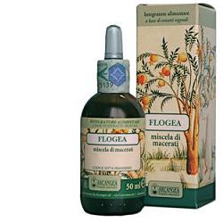 FLOGEA SOL IDROAL 50ML
