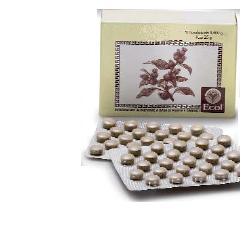 Ecol Sas Cimicifuga 50 Tavolette 500 Mg