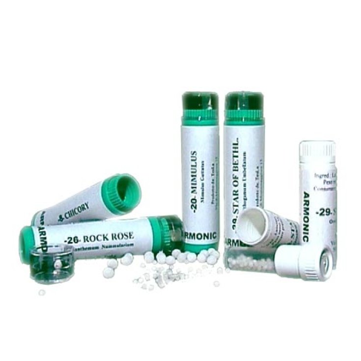 Armonic 1 agrimony 70gr