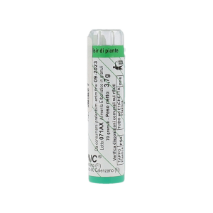 ARMONIC 02 ASPEN 70GR TESLA