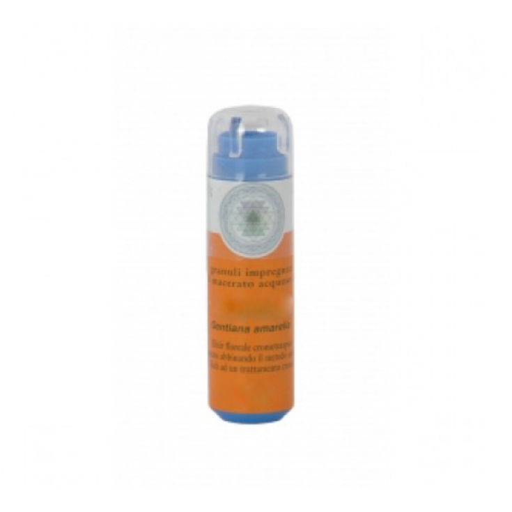 ARMONIC 28 SCLERANTHUS 70GR