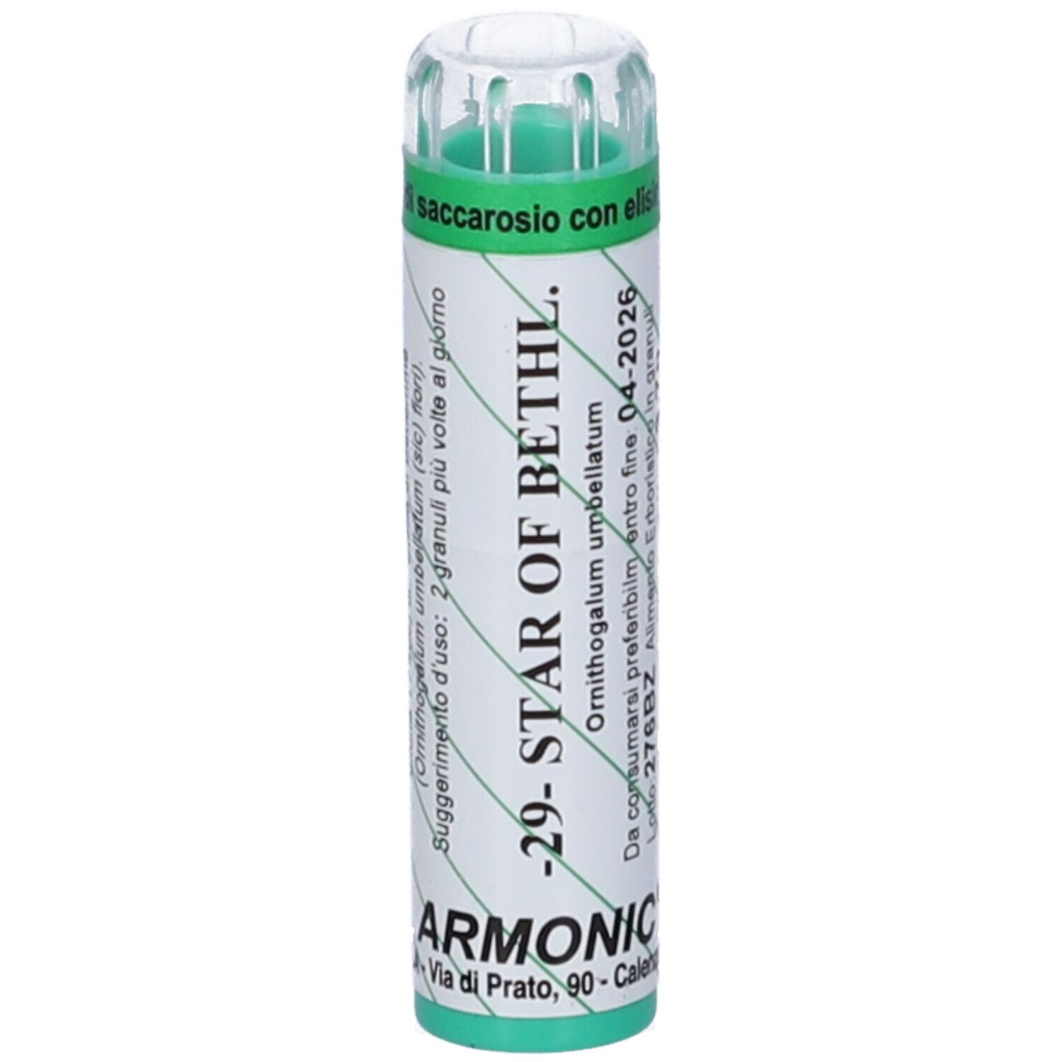 Armonic 29 star of bethlem70gr