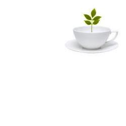 TISACELL Misc.Erbe 100g — confronto prezzi
