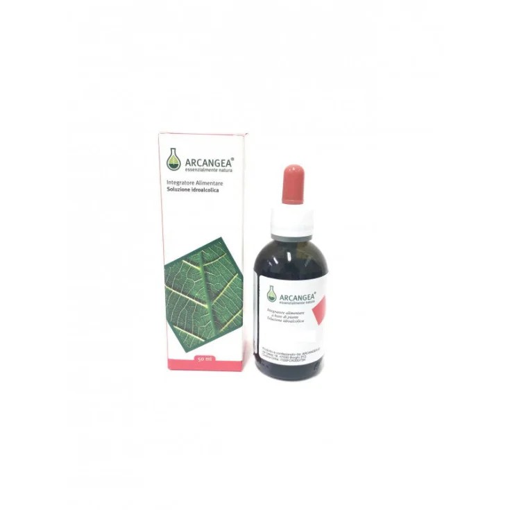 UNCARIA SOLUZIONE IDROALCOLICA 50 ML