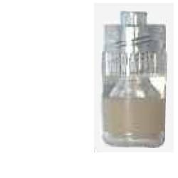 TAPPO STER PERF LUER PBPHARMA — confronto prezzi