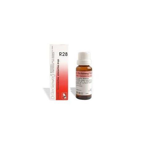 Dr. Reckeweg R28 Gocce Orali Omeopatiche 22 ml