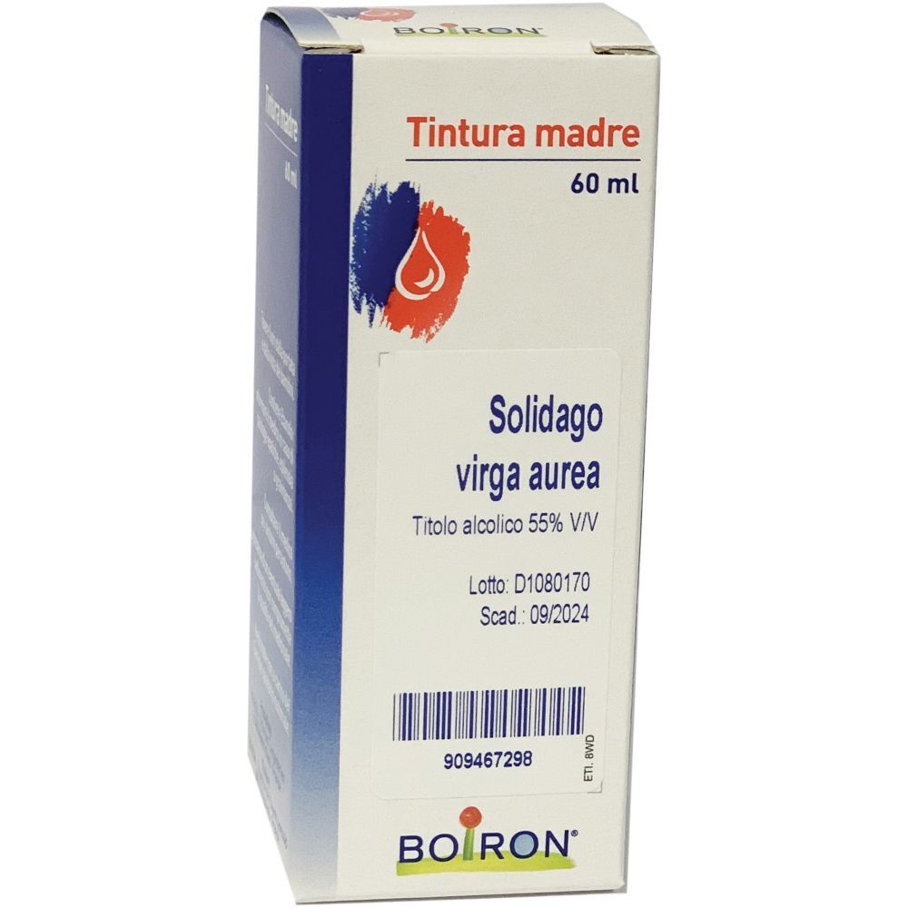 SOLIDAGO V 60ML TM — confronto prezzi