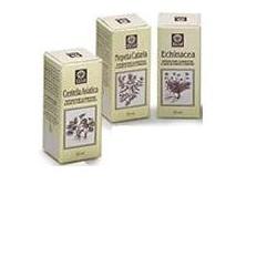 Ecol Sas Nepeta Cataria Estratto Analcolico 50 Ml