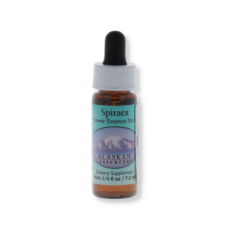 Spiraea 7,4ml alaska — confronto prezzi