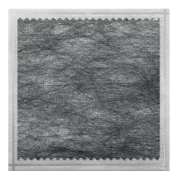 Actisorb Silver 220 Medicazione In Carbonio 6,5x9,5 cm 10 Pezzi