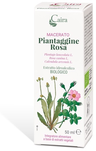 MACERATO PIANTAGG R BIO GTT — confronto prezzi