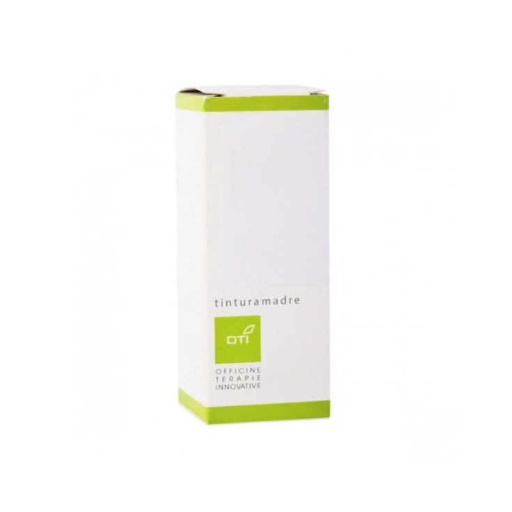 Elicriso tintura madre gocce 100ml