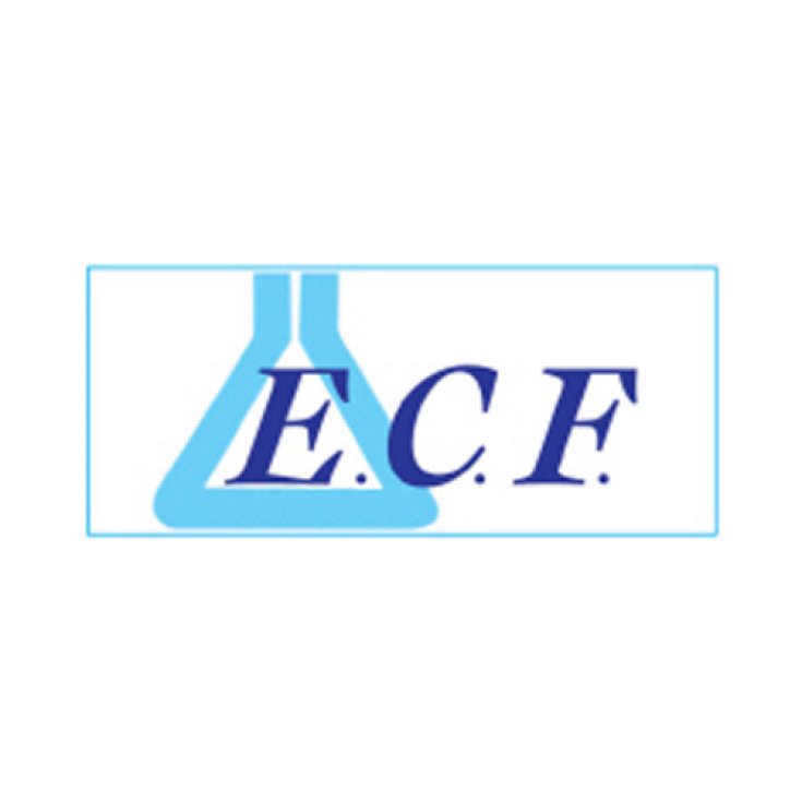 Ecofil latte 200ml