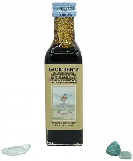Giob Ban 2 Art Integratore Per Lo Sport E L'attività Fisica 100ml — confronto prezzi