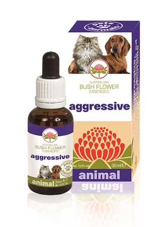 Aggressive 30ml — confronto prezzi