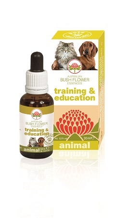 Training & education 30ml — confronto prezzi