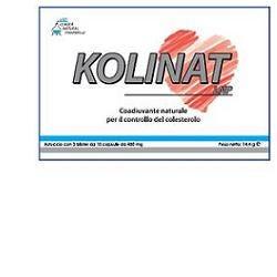 Kolinat Lnp Integratore Controllo del Colesterolo 30 Capsule — confronto prezzi