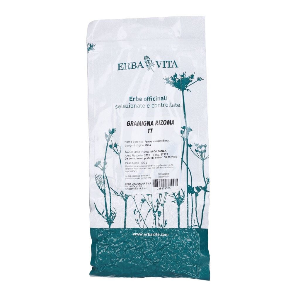 GRAMIGNA TT RIZOMA 100G