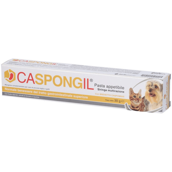 Caspongil Pasta Lenitiva 30 g