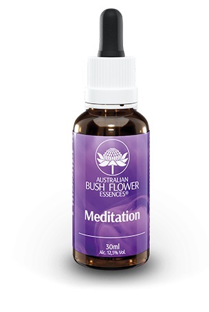 MEDITATION 30ML — confronto prezzi