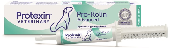 prokolin advanced dog pasta 30 ml