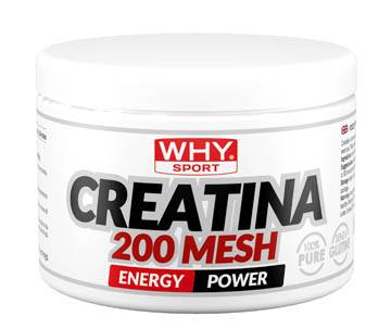 Whysport Creatina 200 Mesh Integratore di Aminoacidi per Sportivi 200 g — confronto prezzi