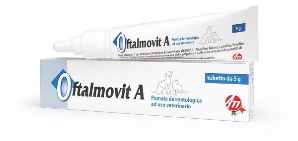 Oftalmovit A 5G 5 g Pomata