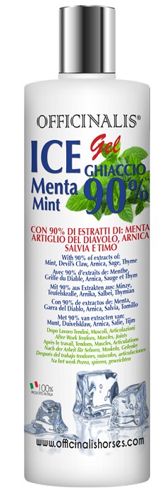 V OFFICINALIS ICE GEL 90% 250ML