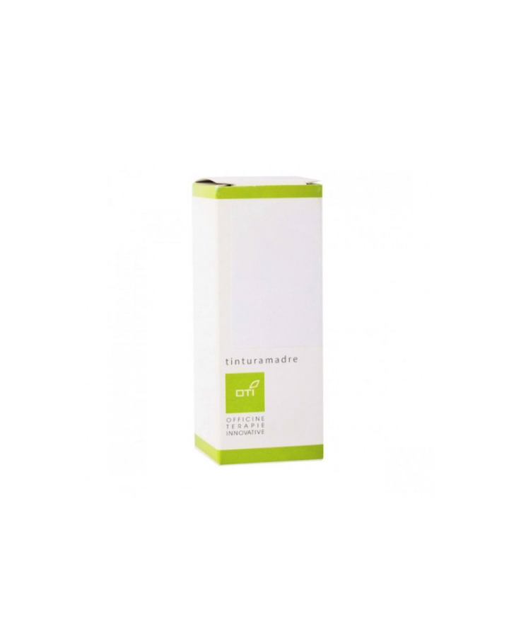 SAMBUCO TINTURA MADRE GTT100ML