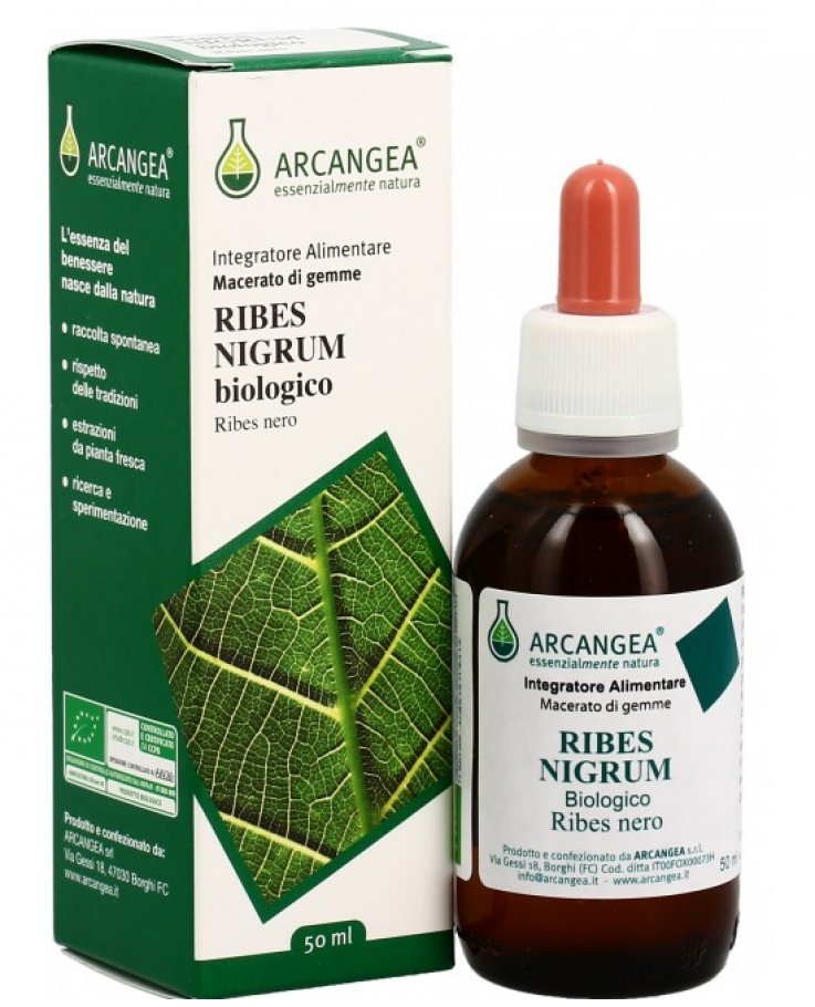 RIBES Nigrum GD 100ml