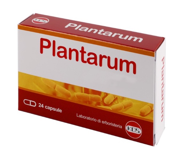 Kos Fermenti - Plantarum Integratore 10 miliardi cellule vive, 24 capsule