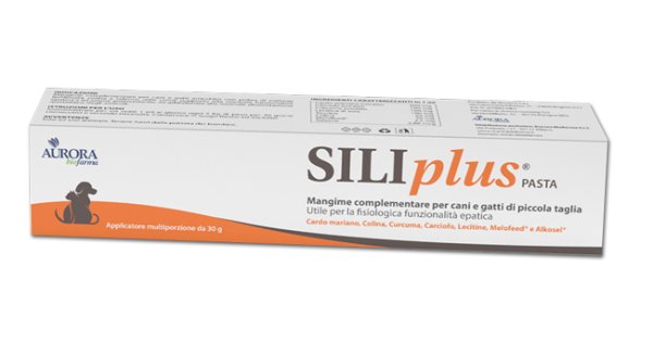 Siliplus pasta 30 g