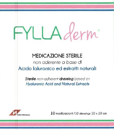 Fylladerm Medicazione Con Acido Ialuronico 10 X 10cm 10 Pezzi