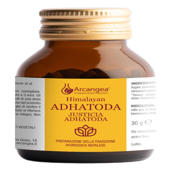 Adhatoda Vasica Gemini Integratore Naturale in Capsule - 60 Capsule per il Benessere delle Vie Respiratorie