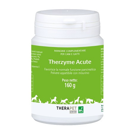 Therzyme acute polvere 160 gr