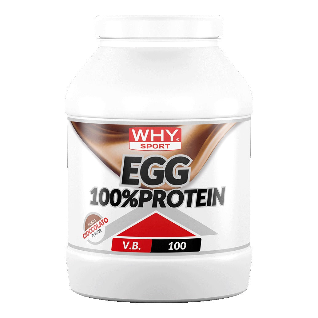 WHYSPORT EGG 100% PROTEIN CIOC — confronto prezzi