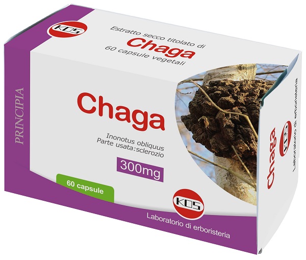 CHAGA ESTRATTO SECCO TIT 60CPS