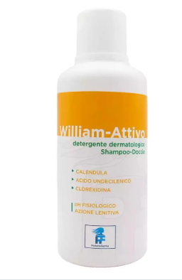 WILLIAM ATTIVO 1000ML — confronto prezzi